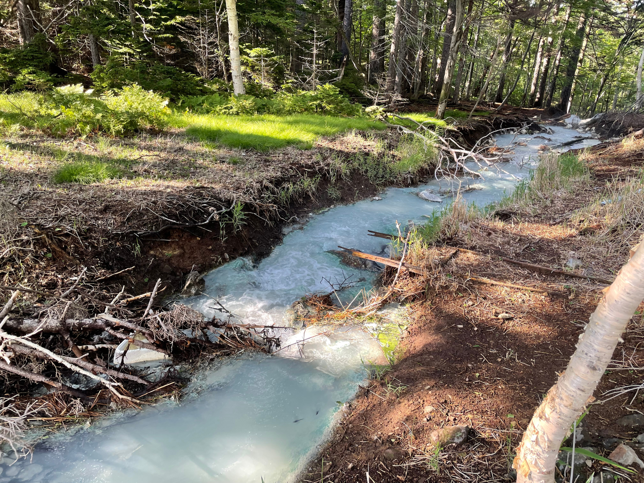 ガイドブックにはあまり載っていないと思われる温泉の川