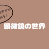 親子で穏やかに楽しめるおすすめの顕微鏡の記事のアイキャッチ