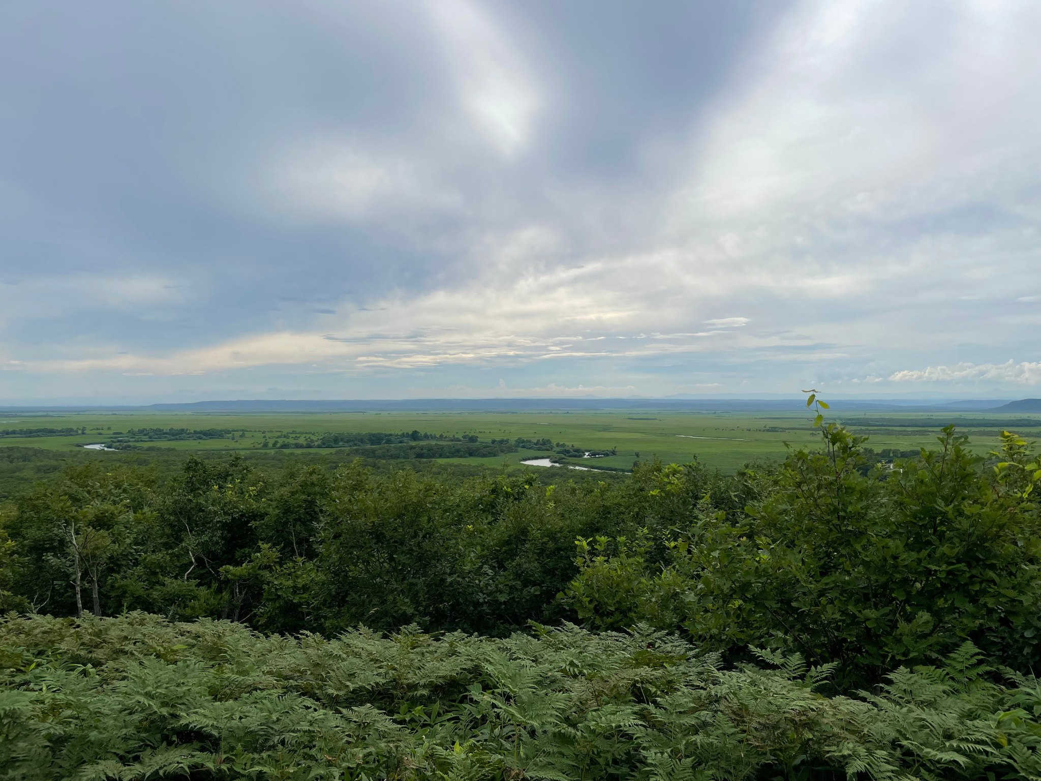 釧路湿原の写真